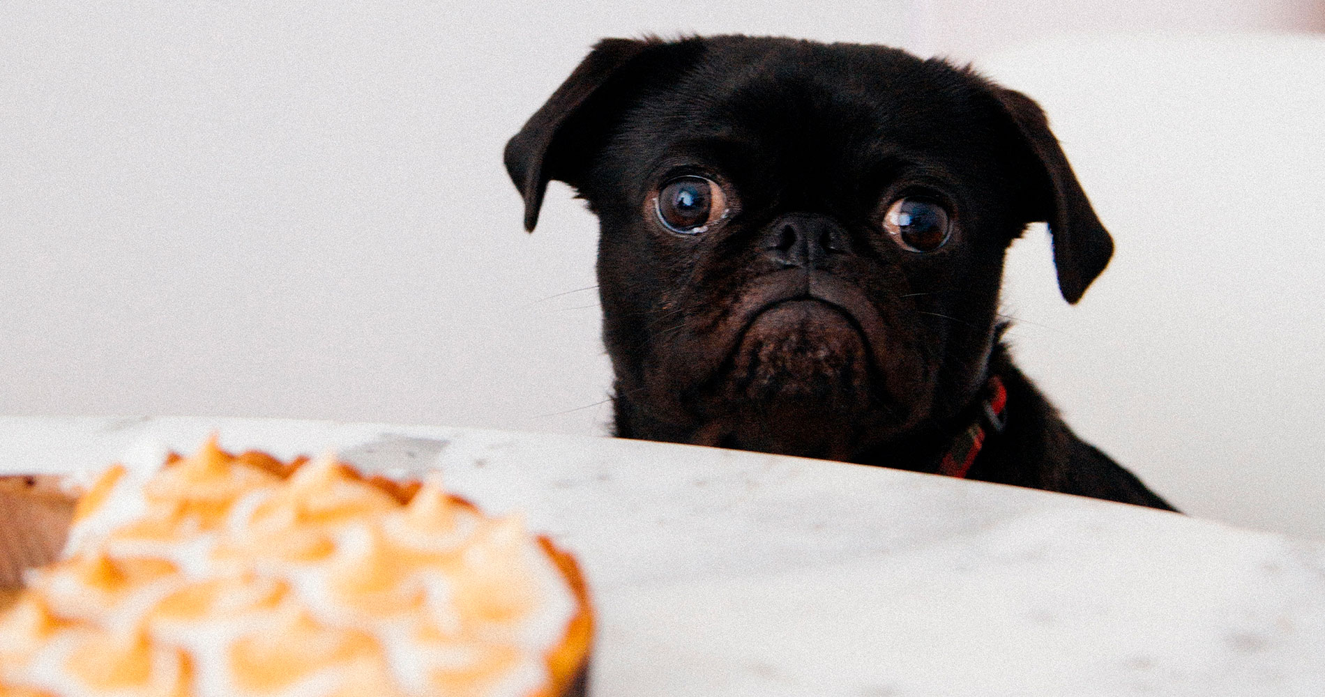 Quem somos Quem somos